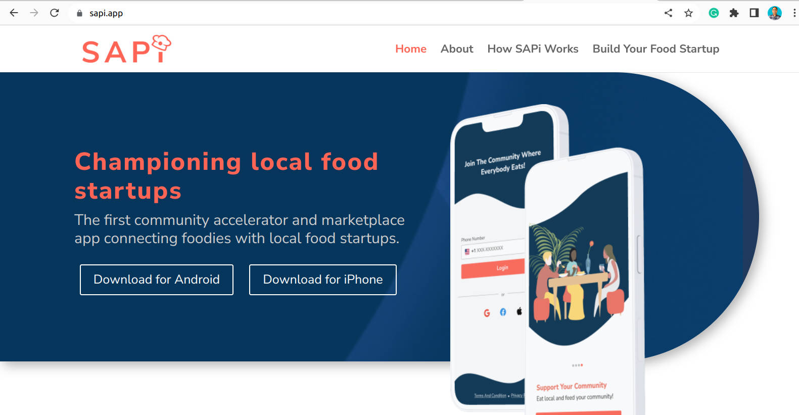 WordPress website design for SAPI app